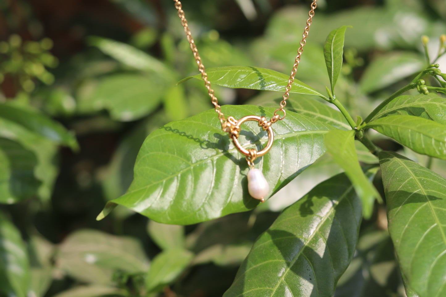 Pearl Charn Necklace